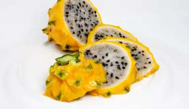 how to say dragon fruit in spanish