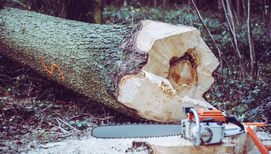 How To Start A Stihl Ms250 Chainsaw? (Check This First)