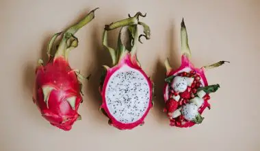 how many types of dragon fruit are there