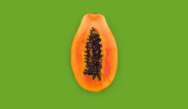 how to store papaya