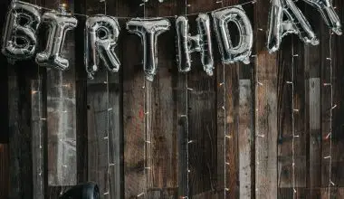 where to have a 1st birthday party
