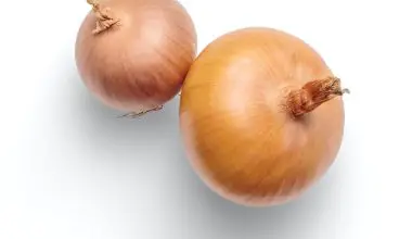 can you plant a sprouting onion