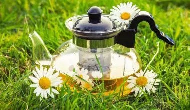how to make chamomile tea from plant