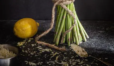 when to plant asparagus