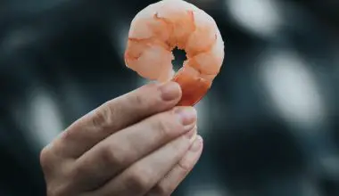 how to tell if cooked shrimp is bad
