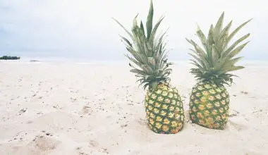 what does a pineapple signify