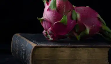 what does red dragon fruit taste like