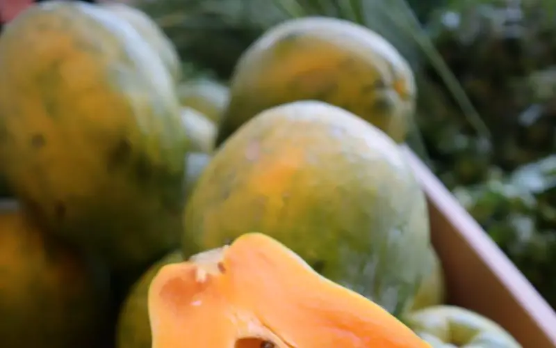 when is a papaya ripe
