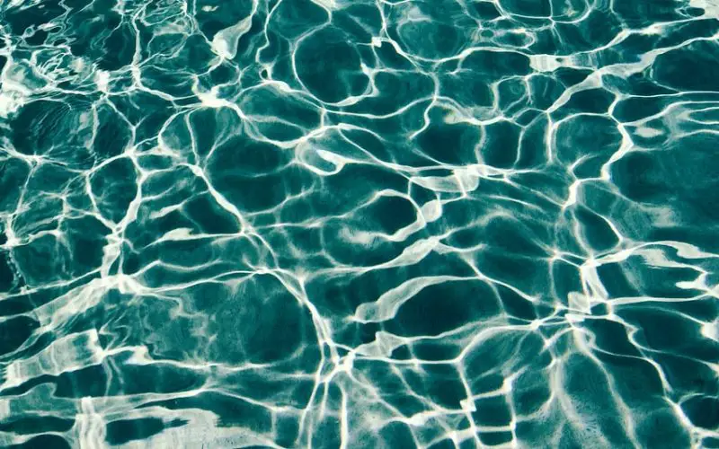 why swimming pool turns green