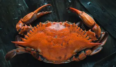 how to clean crab before cooking