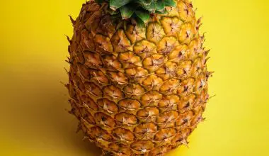 what does a ripe pineapple look like