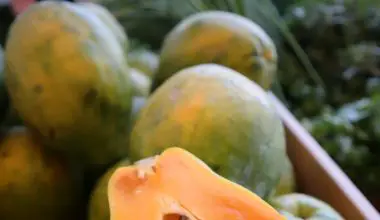 how many carbs in papaya