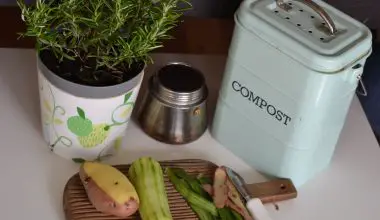 how to stop flies in compost bin