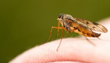 how electronic mosquito repellent works
