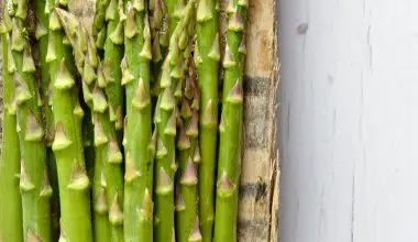 how long to grill asparagus in foil