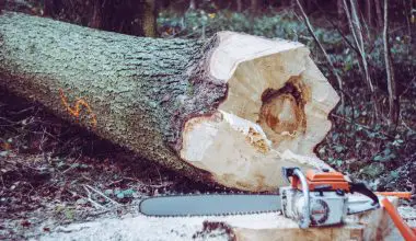 how to cut with a chainsaw