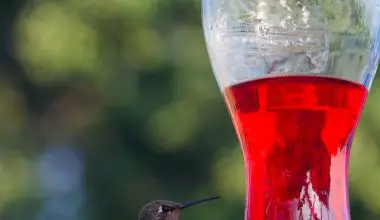 how do i keep ants out of my hummingbird feeder