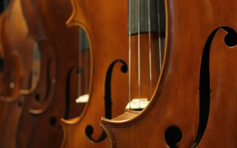 how to measure a violin