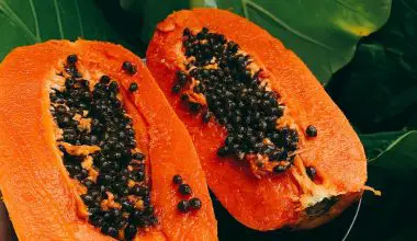 how to eat green papaya