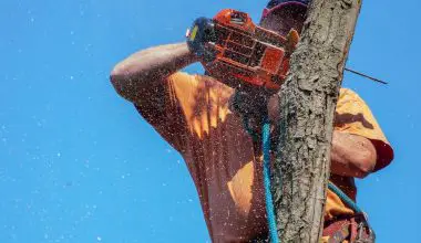 how to put a chain back on an electric chainsaw