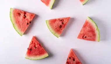 how to make watermelon wine