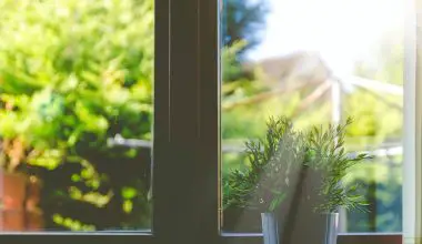 how to landscape around basement windows