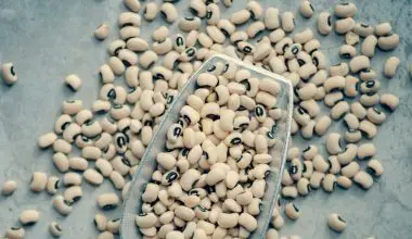 how to cook pinto beans in a pressure cooker