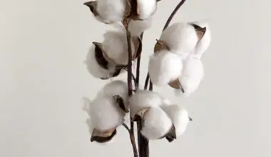 how to make candle wicks from cotton balls