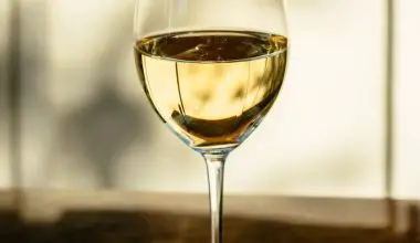 can you use white wine vinegar to clean