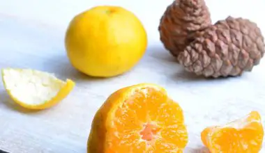 how to avoid orange peel when painting